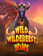 Buffalo ทดลองเล่นฟรี สนุกไปกับเกมสล็อตจาก PG Slot